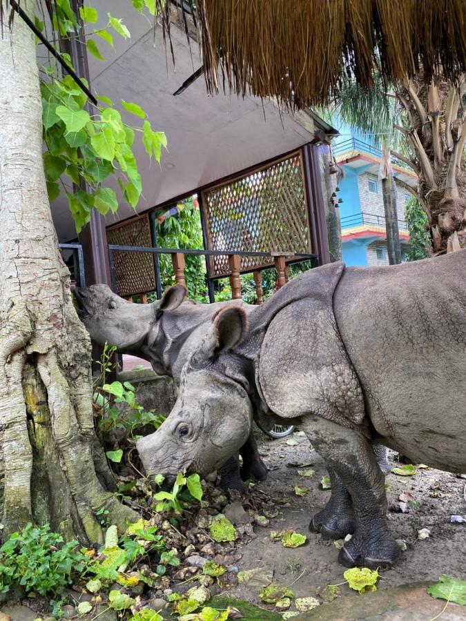 Nature Safari Camp Hotel Chitwan Exterior photo